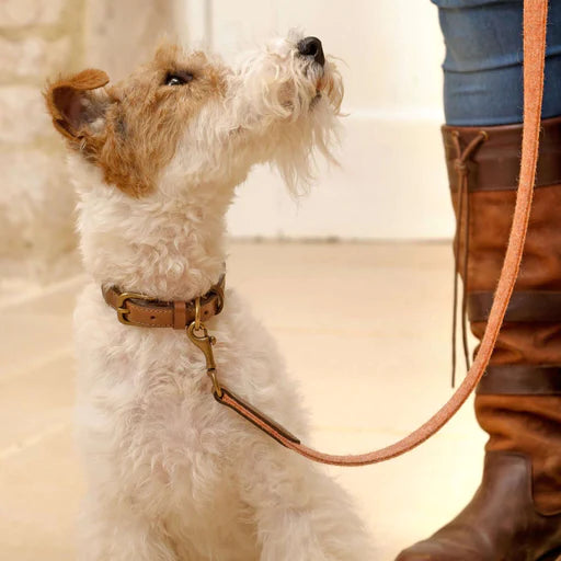 Sandstone Tweed & Leather Dog Lead