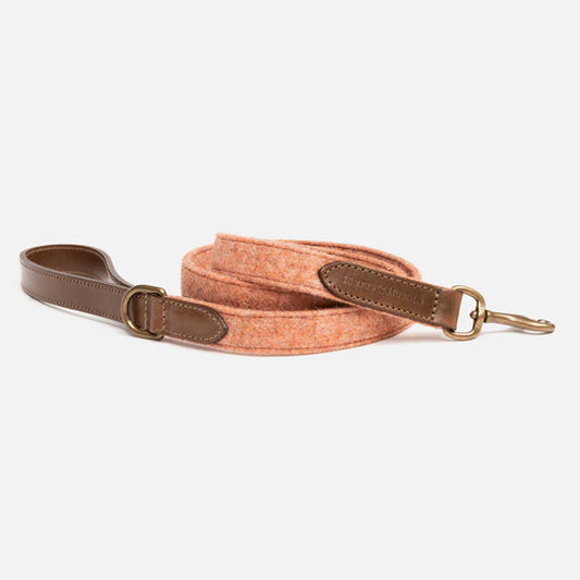 Sandstone Tweed & Leather Dog Lead